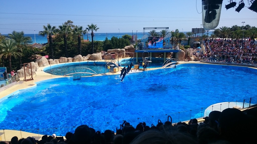 Marineland - Spectacle des dauphins