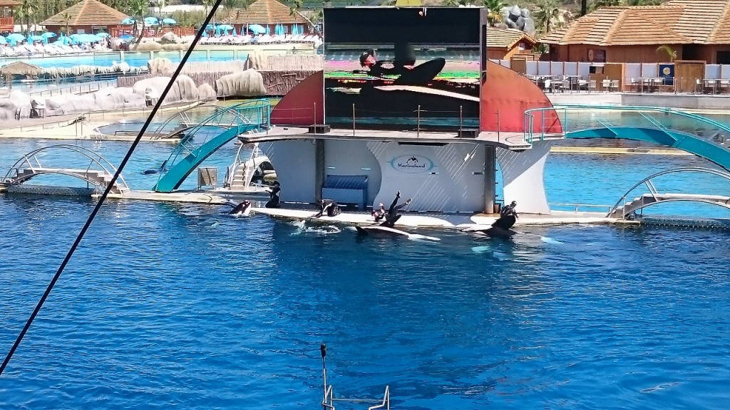 Marineland - Spectacle des orques