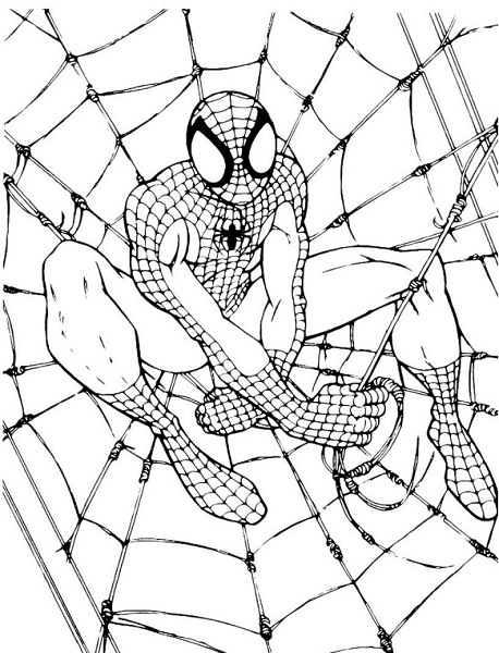 Coloriage Spiderman - Spiderman à imprimer gratuit