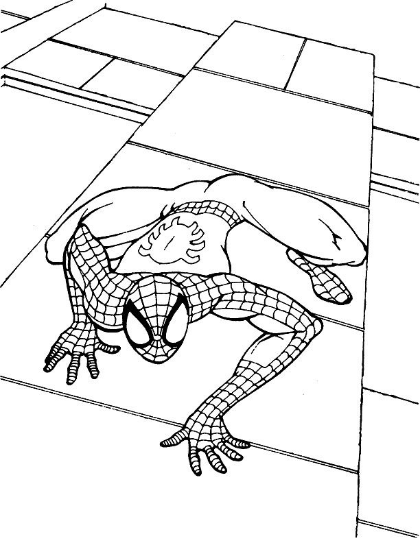 Spiderman à colorier - Sur la façade d'un building