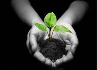 Article éducation : parler de la terre à ses enfants