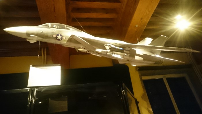 Musée miniature et cinéma de Lyon - Maquette de l'avion mythique de Top Gun