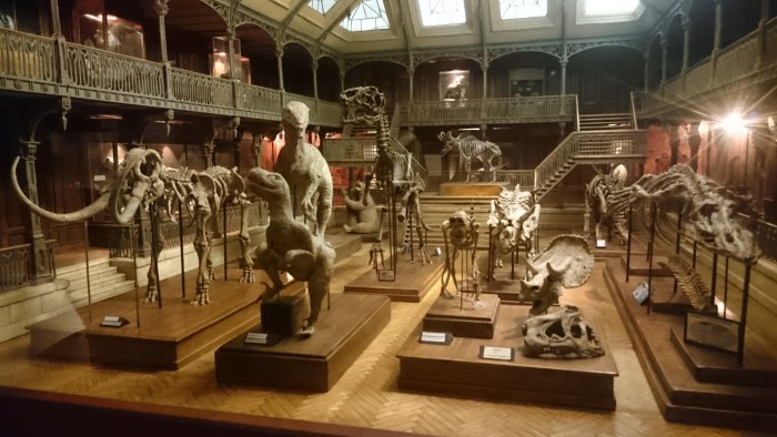 Musée miniature et cinéma de Lyon - Miniature d'un musée de dinosaures