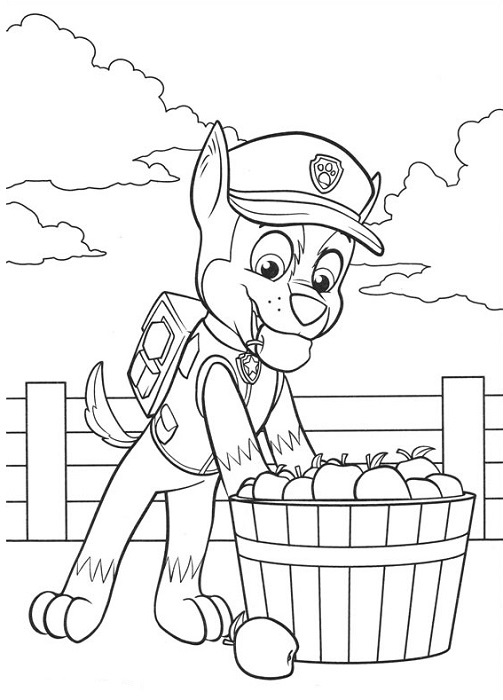 Coloriage et dessin Pat Patrouille - Dessin de Chase qui mange des pommes durant une mission