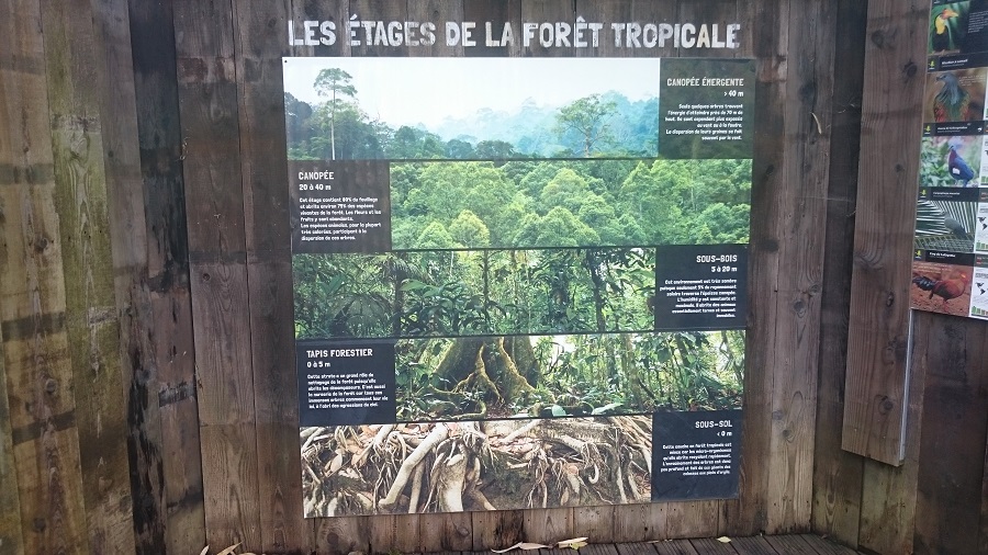 Parc aux oiseaux Villars Les Dombes - découverte avis et visite - La jungle tropicale 2