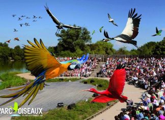 Parc aux oiseaux Villars Les Dombes découverte avis visite