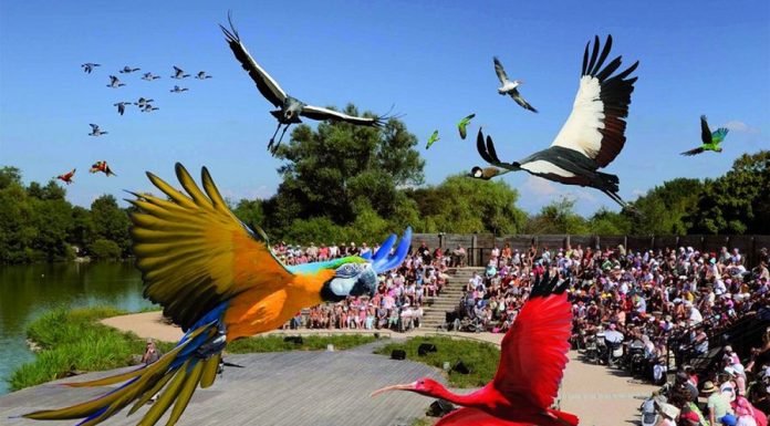Parc aux oiseaux Villars Les Dombes découverte avis visite