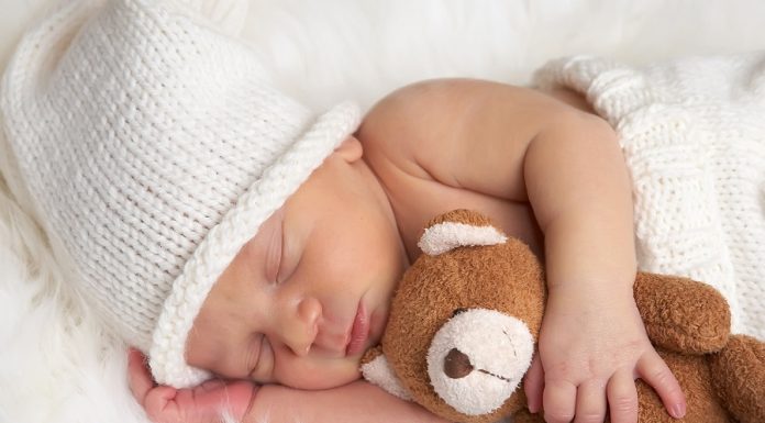 Aux débuts de la vie – Les jeudis de l’éducation Aux débuts de la vie – Les jeudis de l’éducation