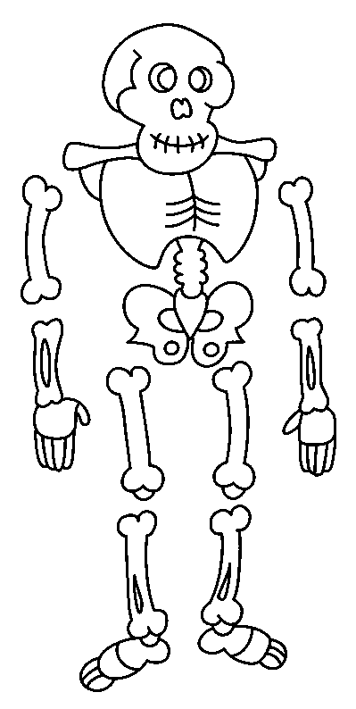Coloriage Halloween - Coloriage squelette