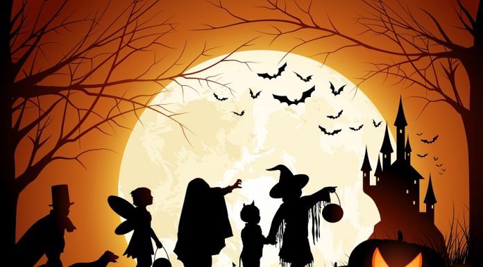 Coloriages Halloween (citrouille, sorcière, squelette, vampire…)