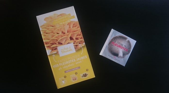 Kit de pleurotes prêt à pousser - Découverte, test et avis !