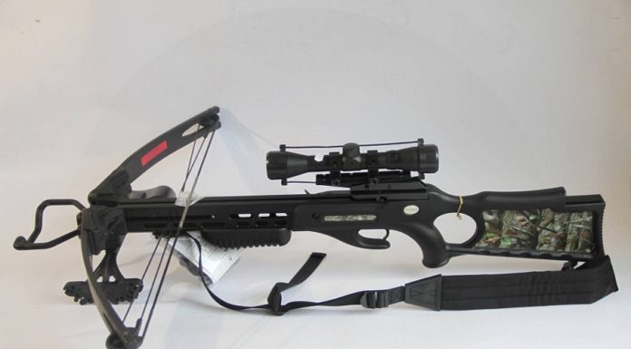 Découvrir le tir à l’arbalète (ou comment devenir Daryl...)