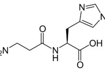 Avantages et bienfaits de la carnosine