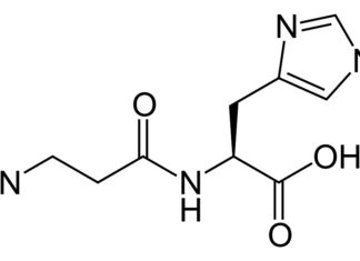 Avantages et bienfaits de la carnosine