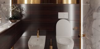 Quels sont les intérêts des toilettes à la japonaise