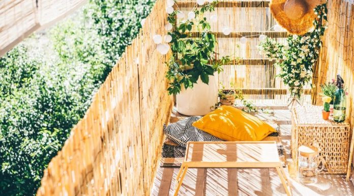 Conseils pour bien choisir des canisses pour terrasse