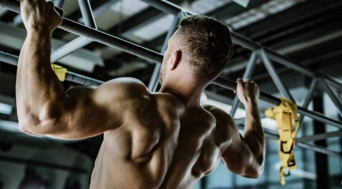 Comment bien travailler les muscles du dos