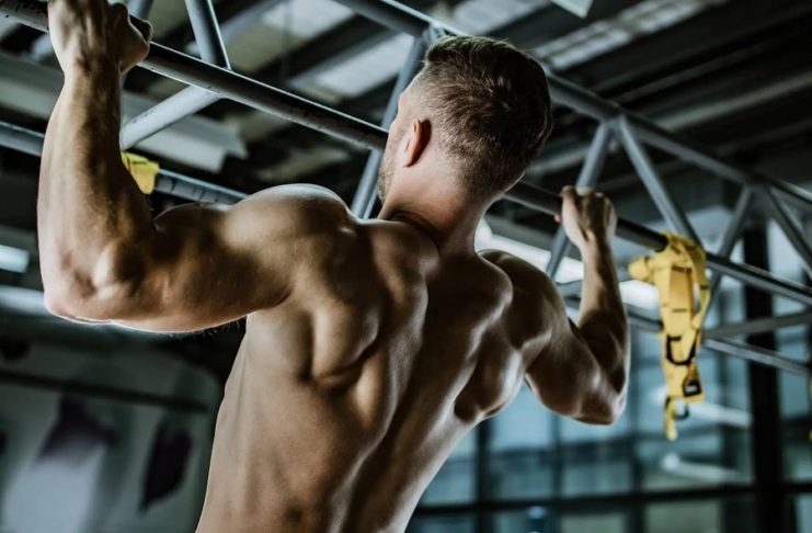 Comment bien travailler les muscles du dos