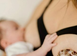 Tout savoir sur les coquillages d’allaitement (usages, bienfaits…) ! Conseils bienfaits coquillage d'allaitement